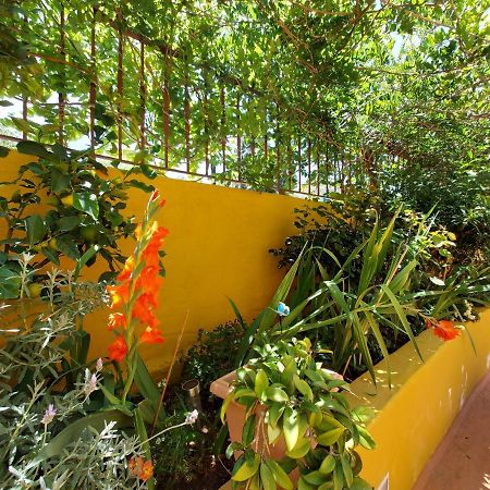 Casa Maestro Lelo - Acogedora Casa Rural Canaria Con Patios Y Jardines De Flores Las Palmas de Gran Canaria Dış mekan fotoğraf