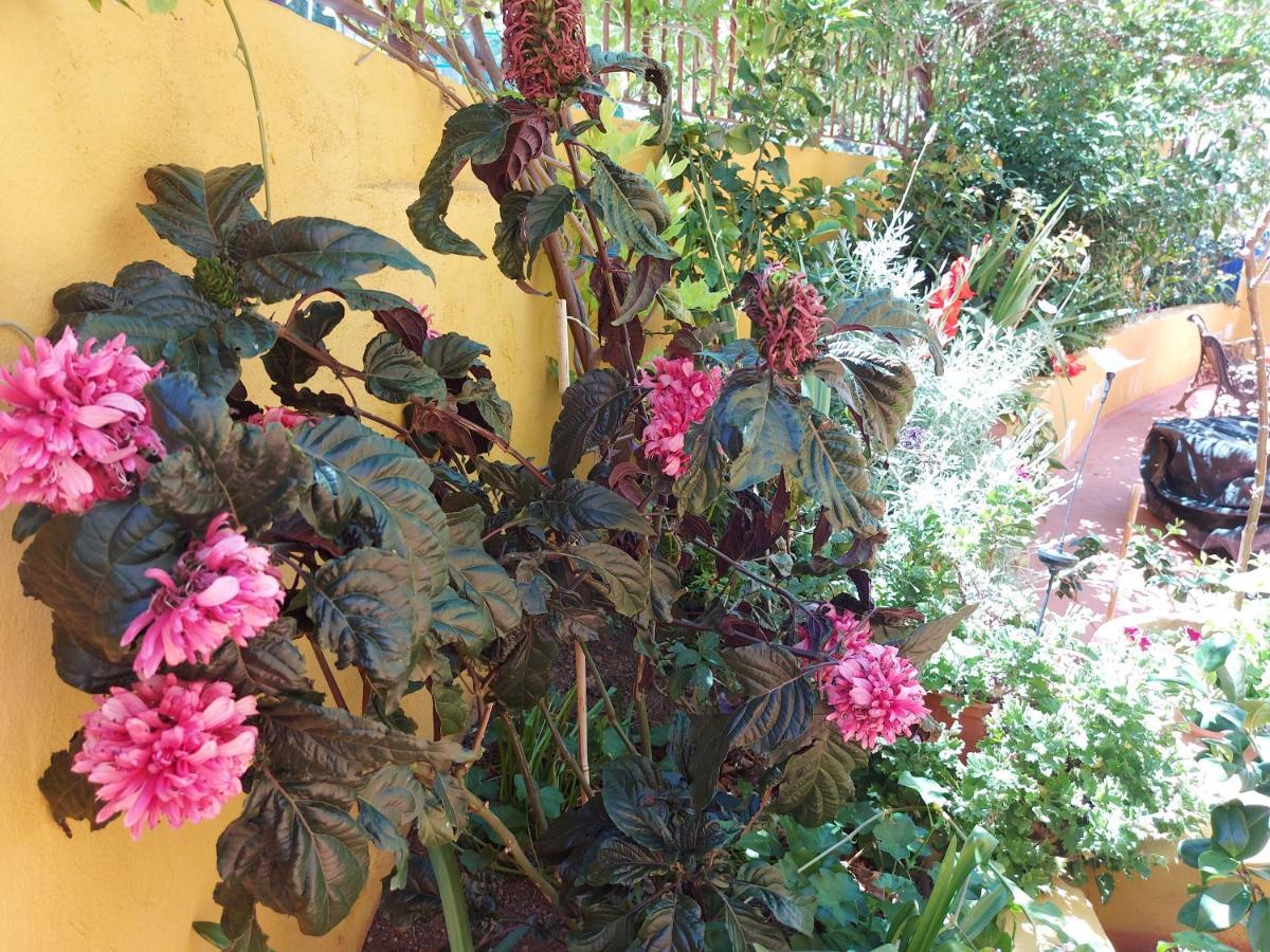 Casa Maestro Lelo - Acogedora Casa Rural Canaria Con Patios Y Jardines De Flores Las Palmas de Gran Canaria Dış mekan fotoğraf