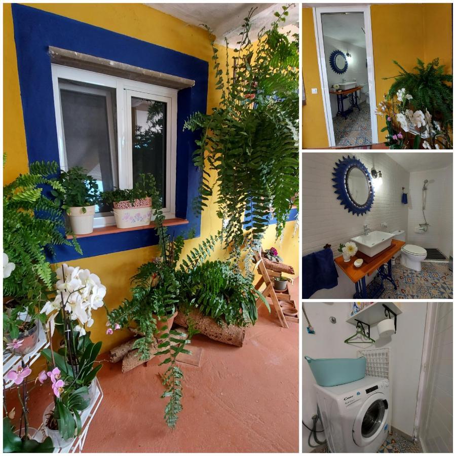 Casa Maestro Lelo - Acogedora Casa Rural Canaria Con Patios Y Jardines De Flores Las Palmas de Gran Canaria Dış mekan fotoğraf